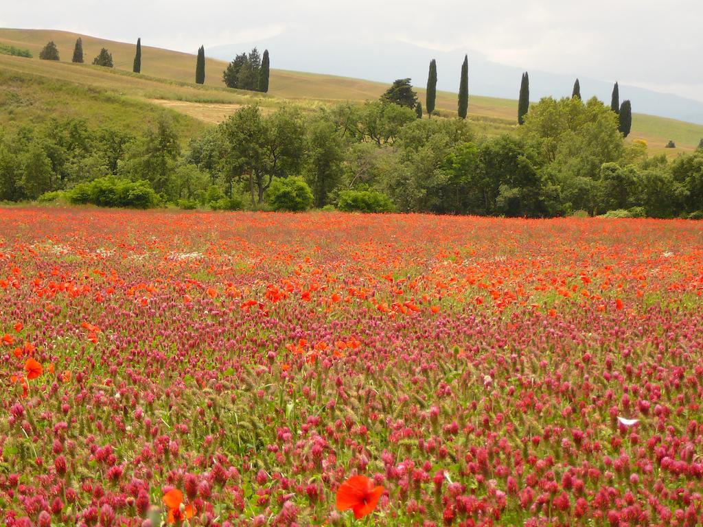 Agriturismo Casalpiano Pienza Kültér fotó