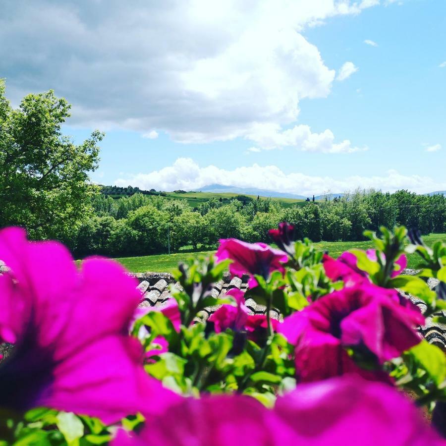 Agriturismo Casalpiano Pienza Kültér fotó